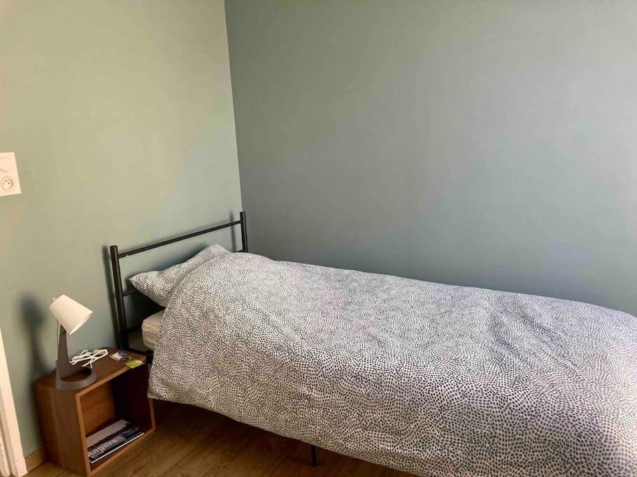 Quai Sud - Gare, 100 M2, Parking, Wifi, Superette, Lave Linge Apartment Angers Exterior photo